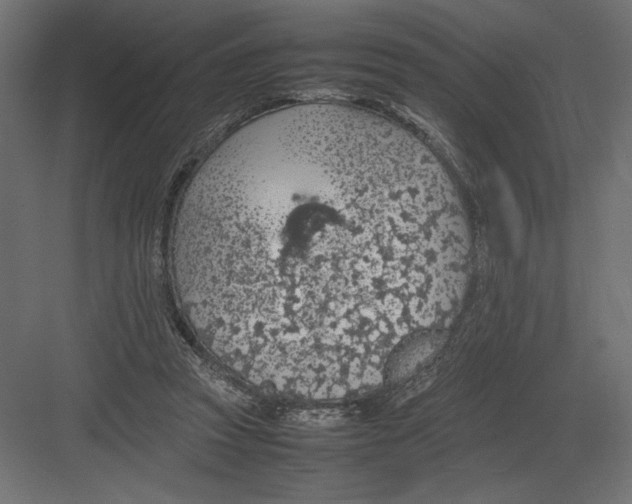 X0000082140353200702092131