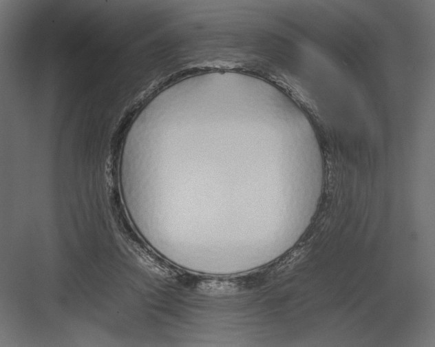 X0000082140354200702092131