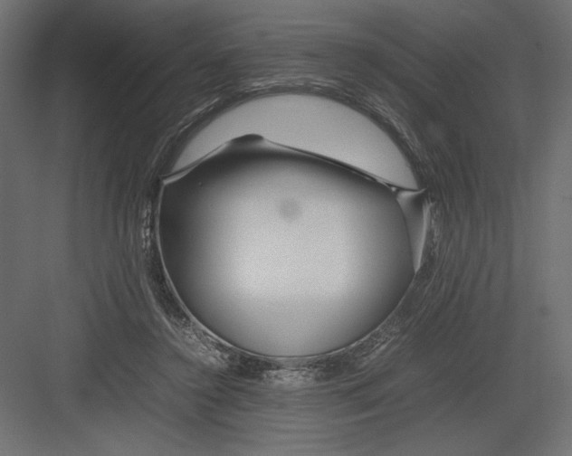 X0000082140356200702092131