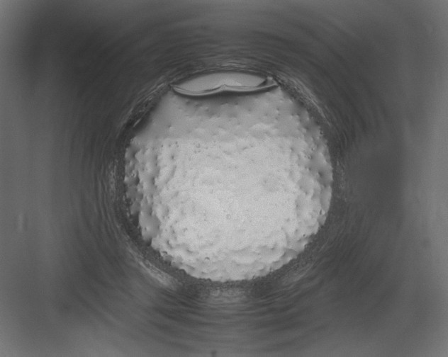 X0000082140357200702092131