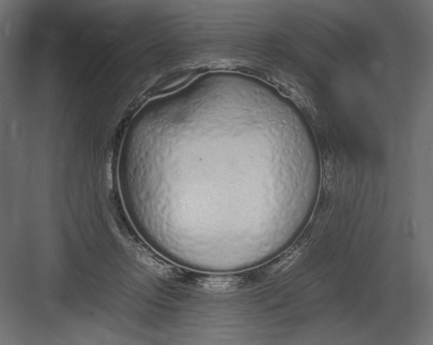 X0000082140358200702092131