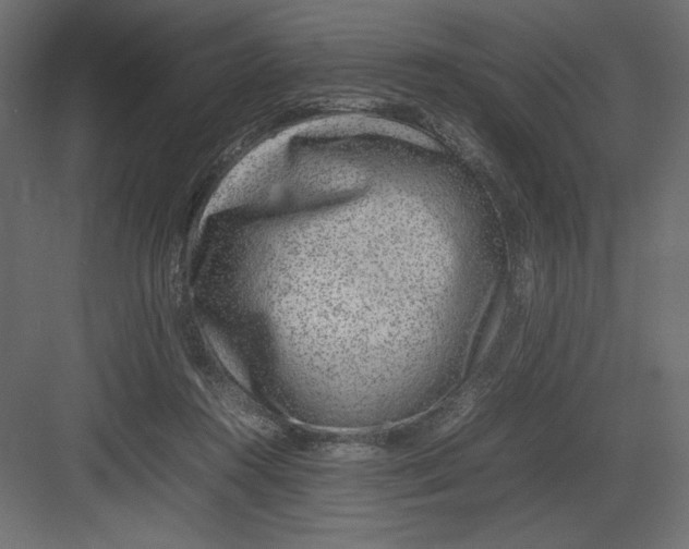 X0000082140360200702092131