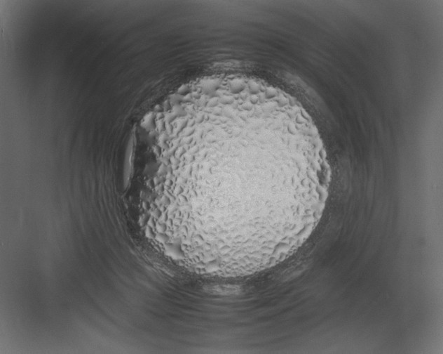 X0000082140361200702092131