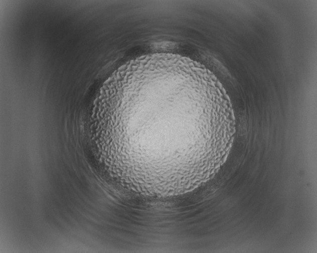 X0000082140363200702092131