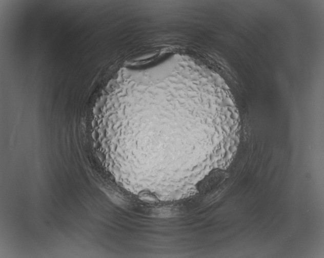 X0000082140365200702092131