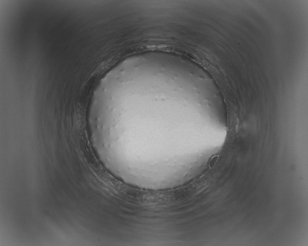 X0000082140367200702092131