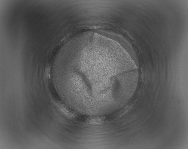 X0000082140368200702092131