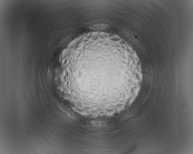 X0000082140371200702092131