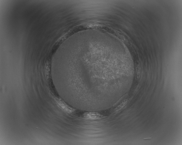 X0000082140372200702092131