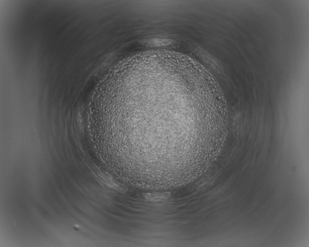 X0000082140373200702092131