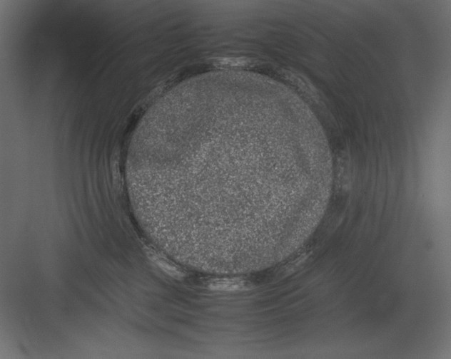 X0000082140377200702092131