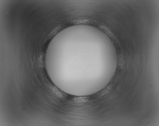 X0000082140378200702092131