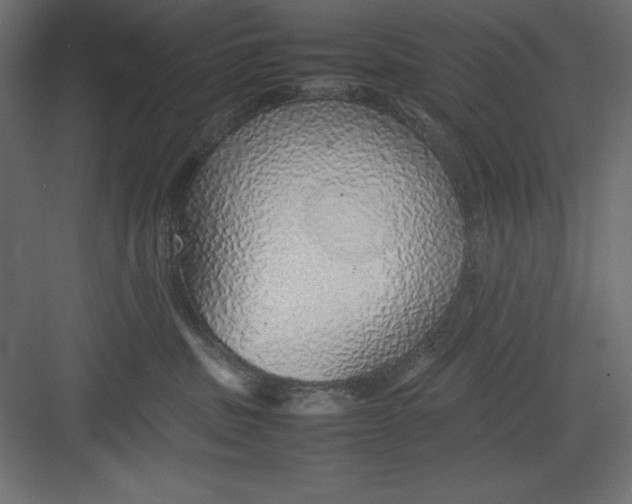 X0000082140379200702092131