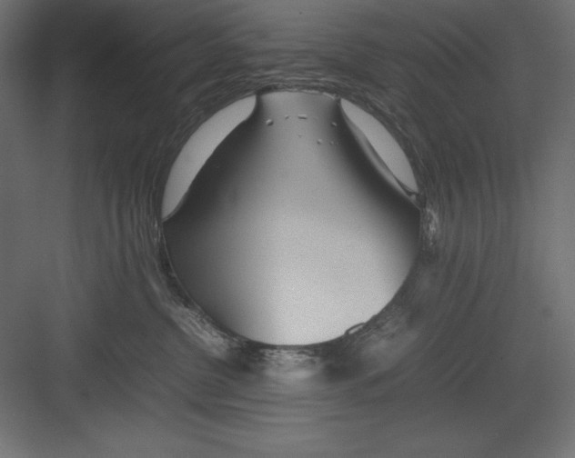 X0000082140380200702092131