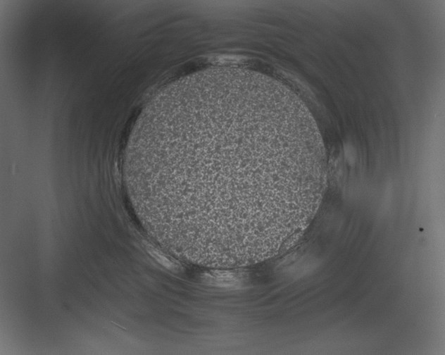 X0000082140381200702092131