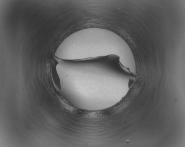 X0000082140382200702092131