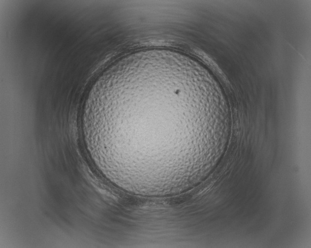 X0000082140386200702092131