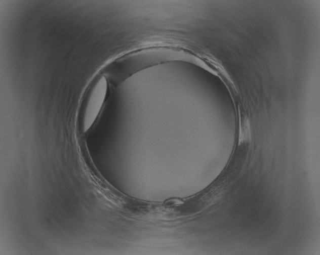 X0000082140387200702092131