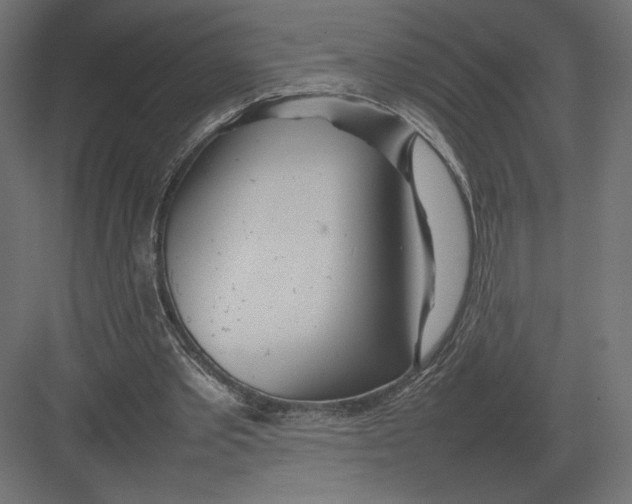 X0000082140389200702092131