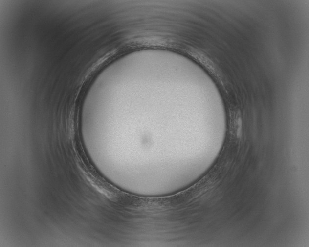 X0000082140390200702092131