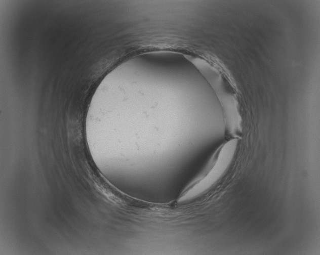 X0000082140393200702092131