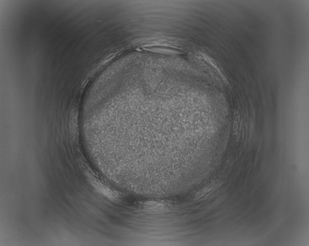 X0000082140394200702092131