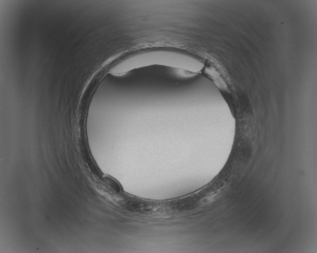 X0000082140395200702092131