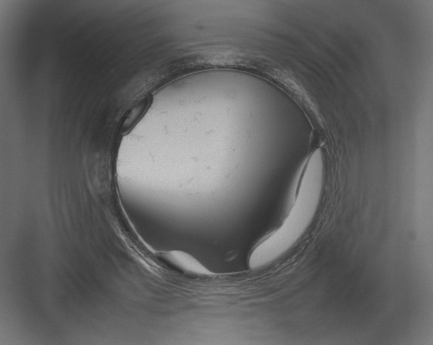 X0000082140397200702092130