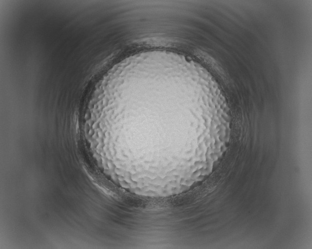 X0000082140398200702092130