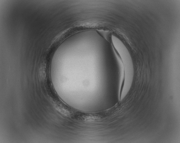 X0000082140400200702092130