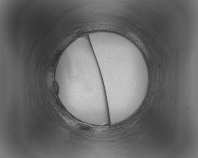 X0000082140401200702092130