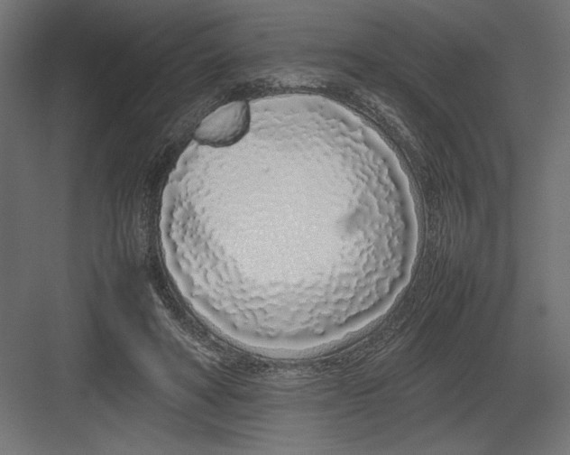 X0000082140402200702092130