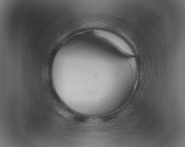 X0000082140403200702092130