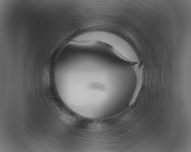 X0000082140404200702092130