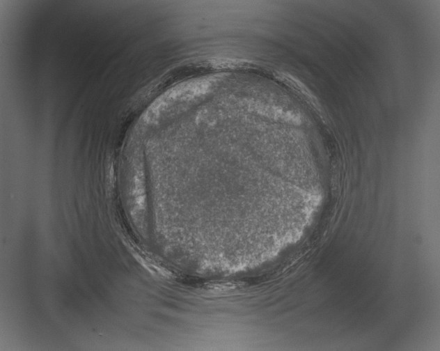 X0000082140405200702092130