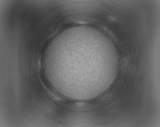 X0000082140406200702092130