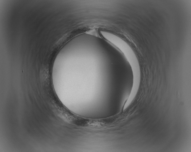 X0000082140407200702092130