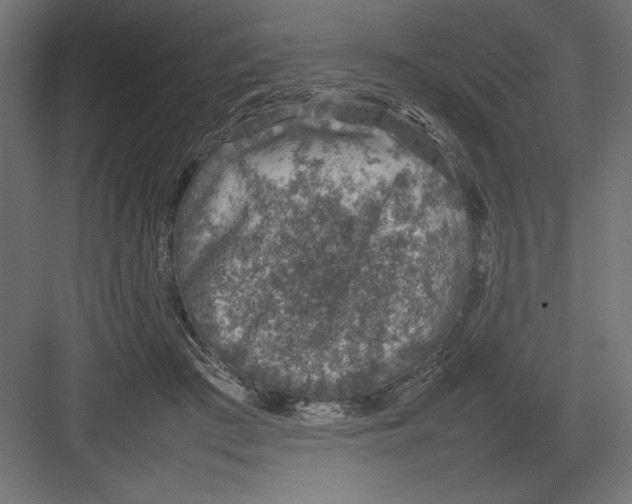 X0000082140409200702092130