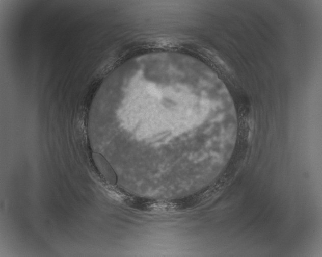 X0000082140415200702092130