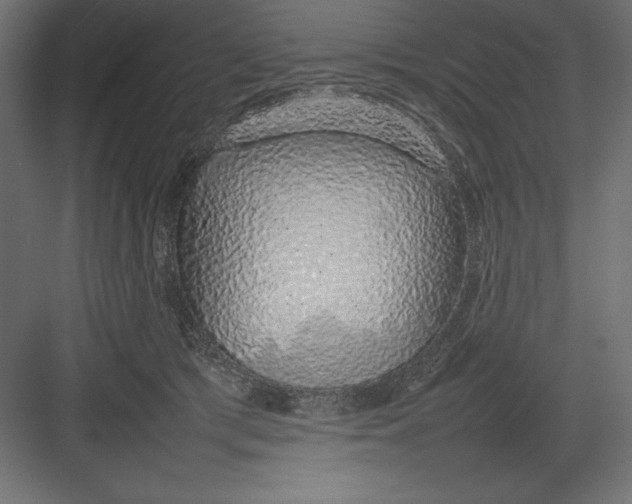 X0000082140417200702092130