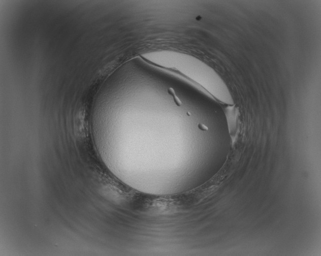 X0000082140420200702092130