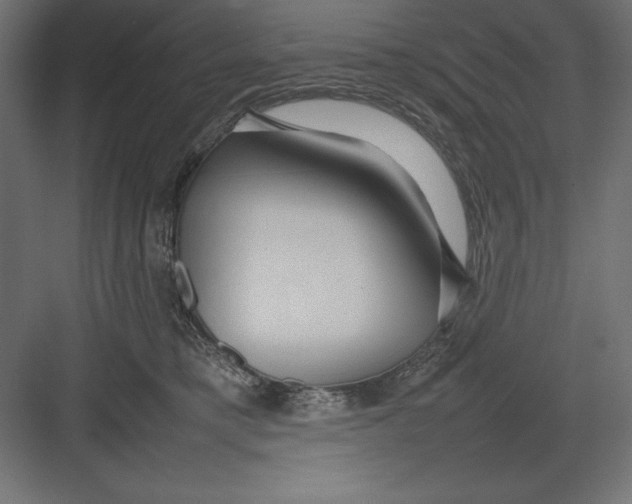 X0000082140421200702092130