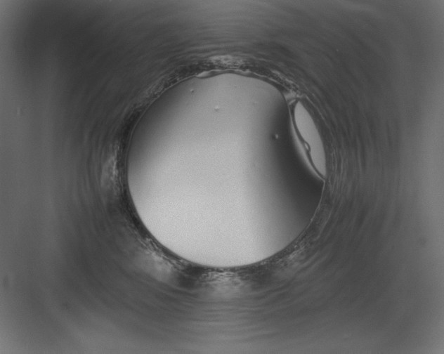 X0000082140424200702092130