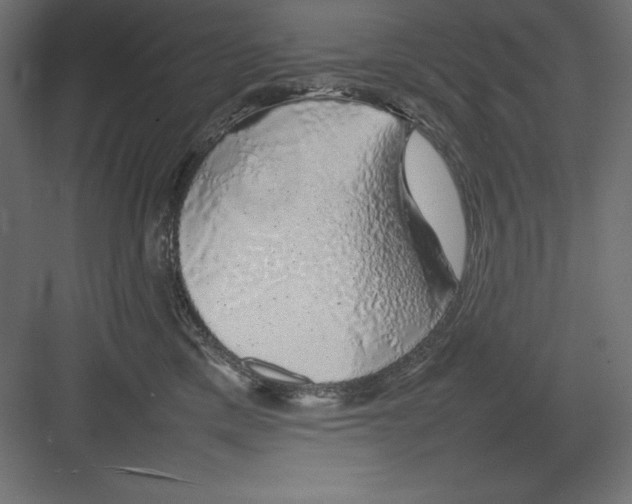 X0000082140425200702092130