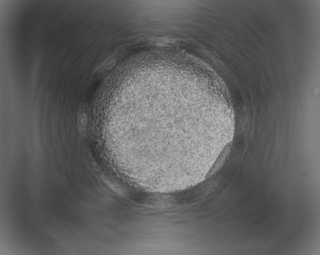 X0000082140427200702092130