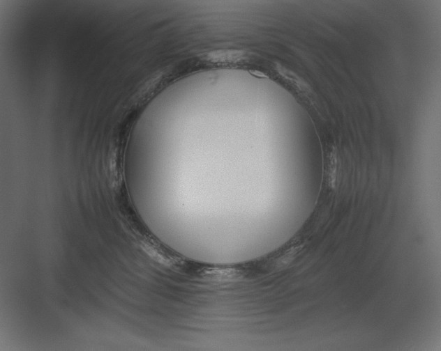 X0000082140428200702092130