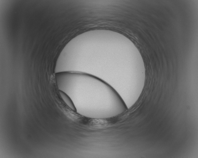 X0000082140429200702092130