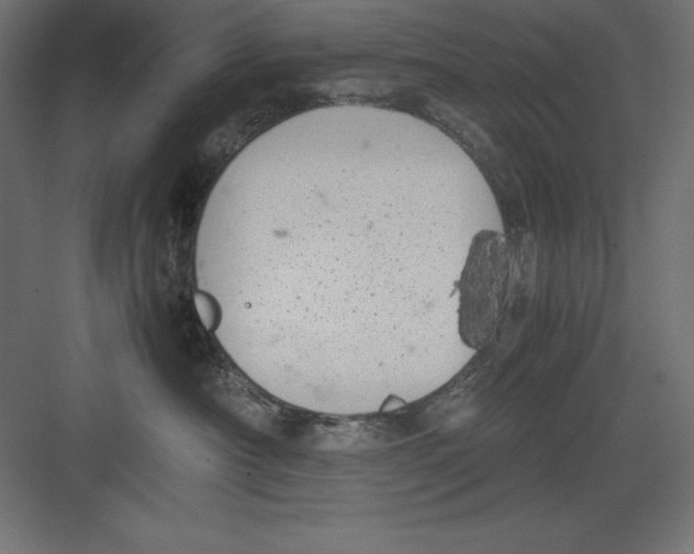 X0000082140430200702092130