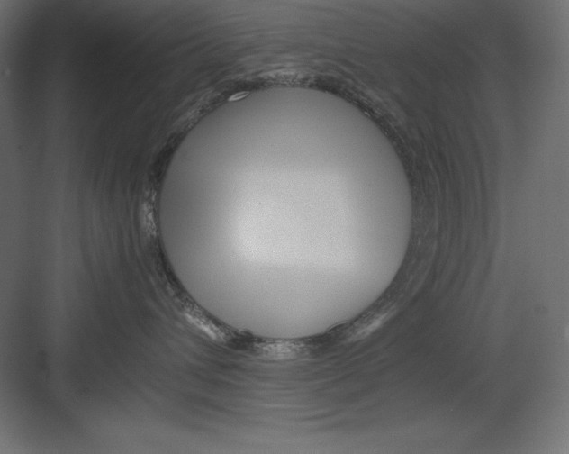 X0000082140432200702092130