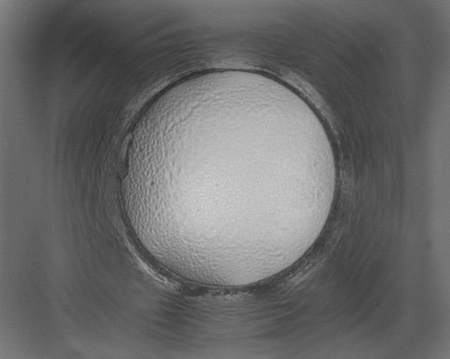 X0000082140433200702092129